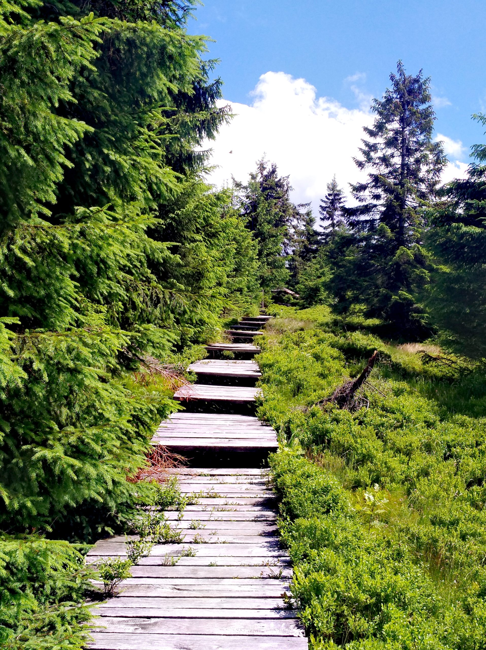 chodník na Černou horu