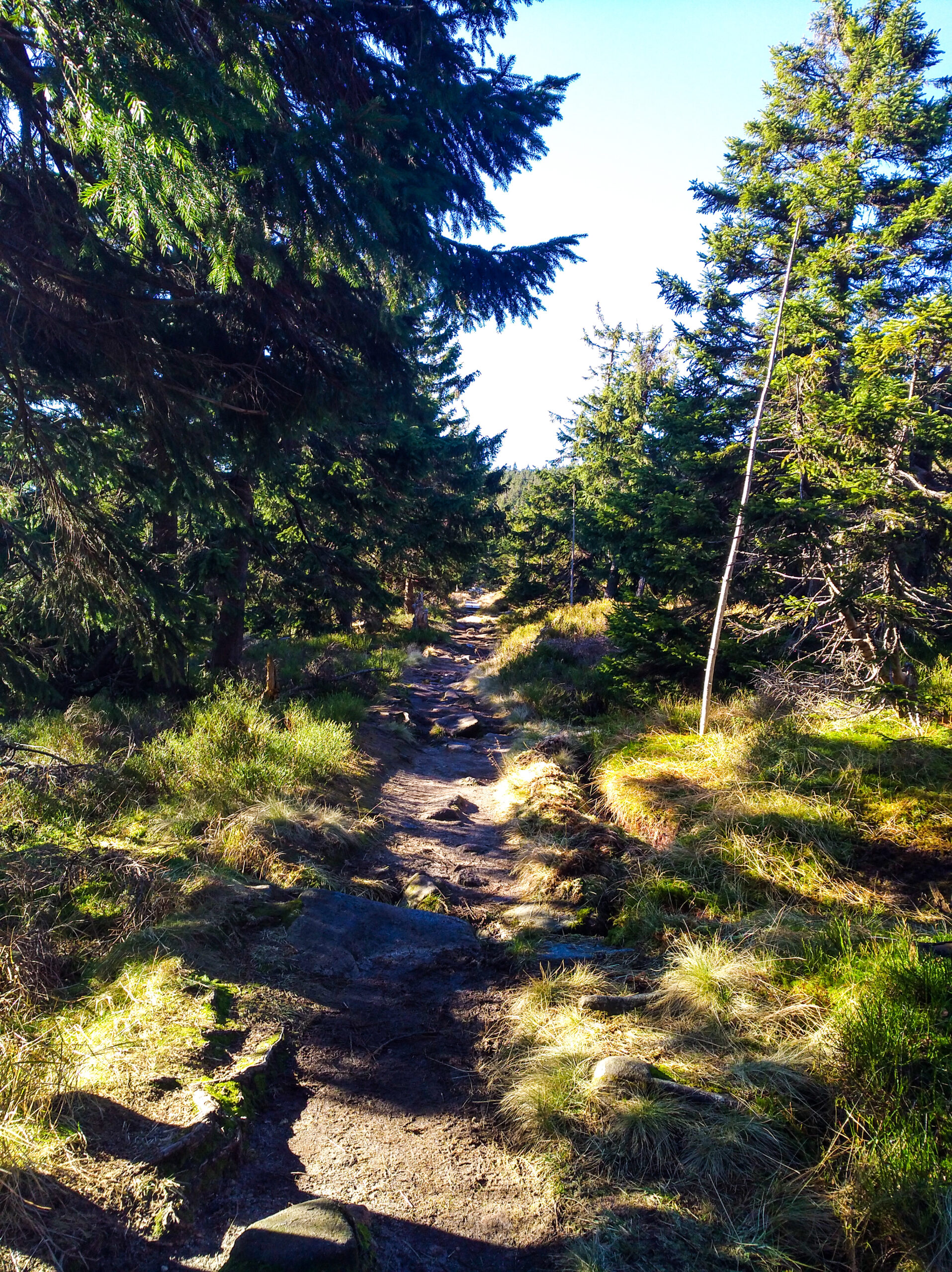Stezka okolo vyhlídky Ptačí kámen ( 1310 m )