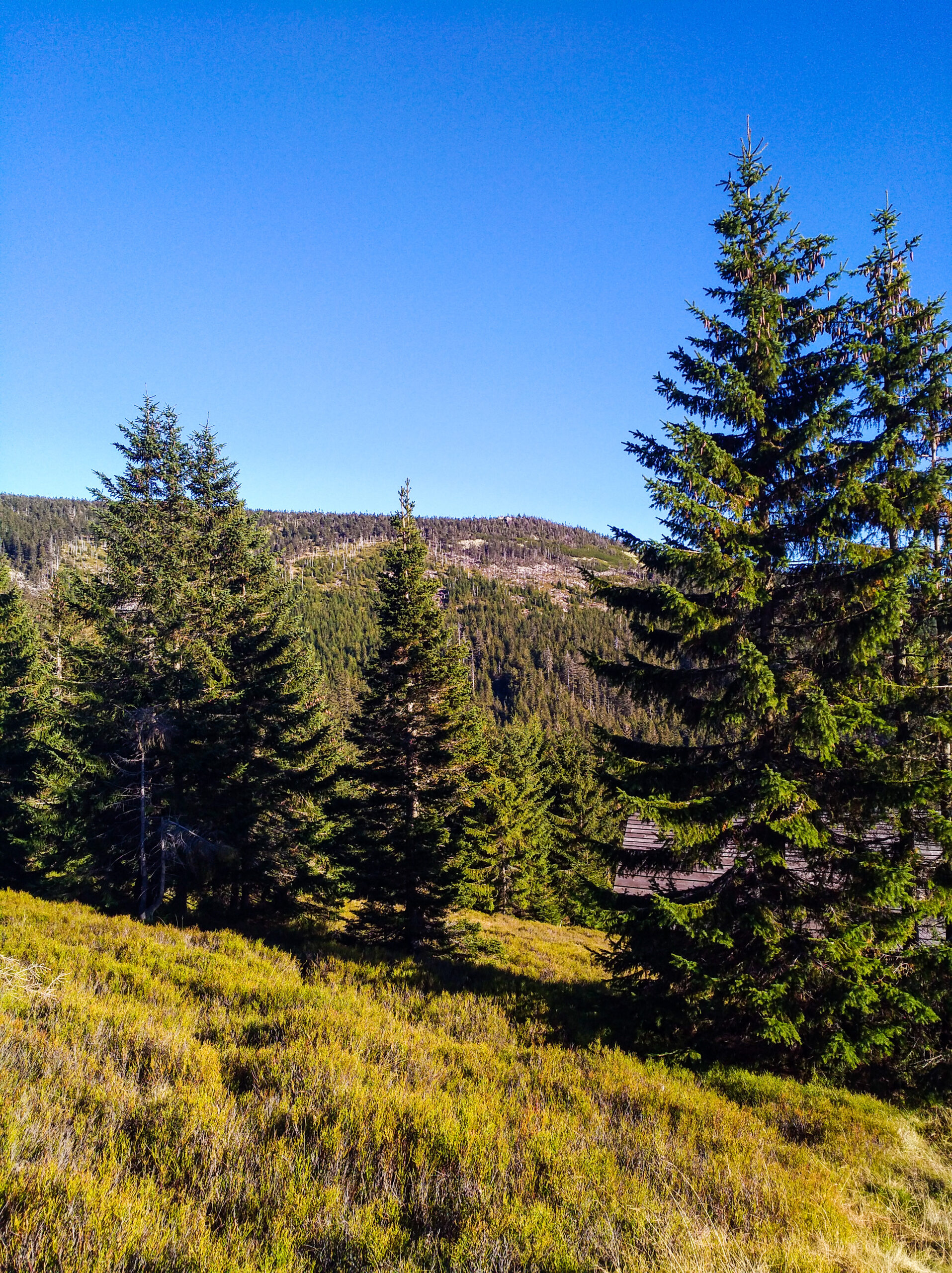 Pohled zpět od Brádlerových bud